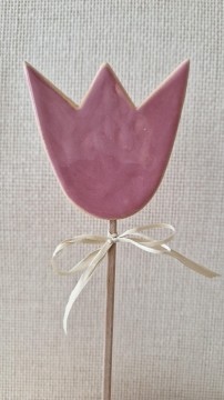 Tulipán 03