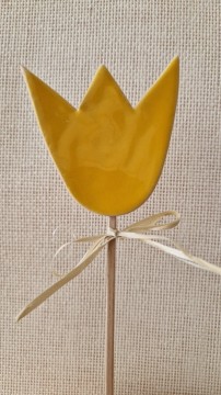 Tulipán 01