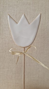 Tulipán 04