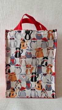 Taška na jídlonosič 08